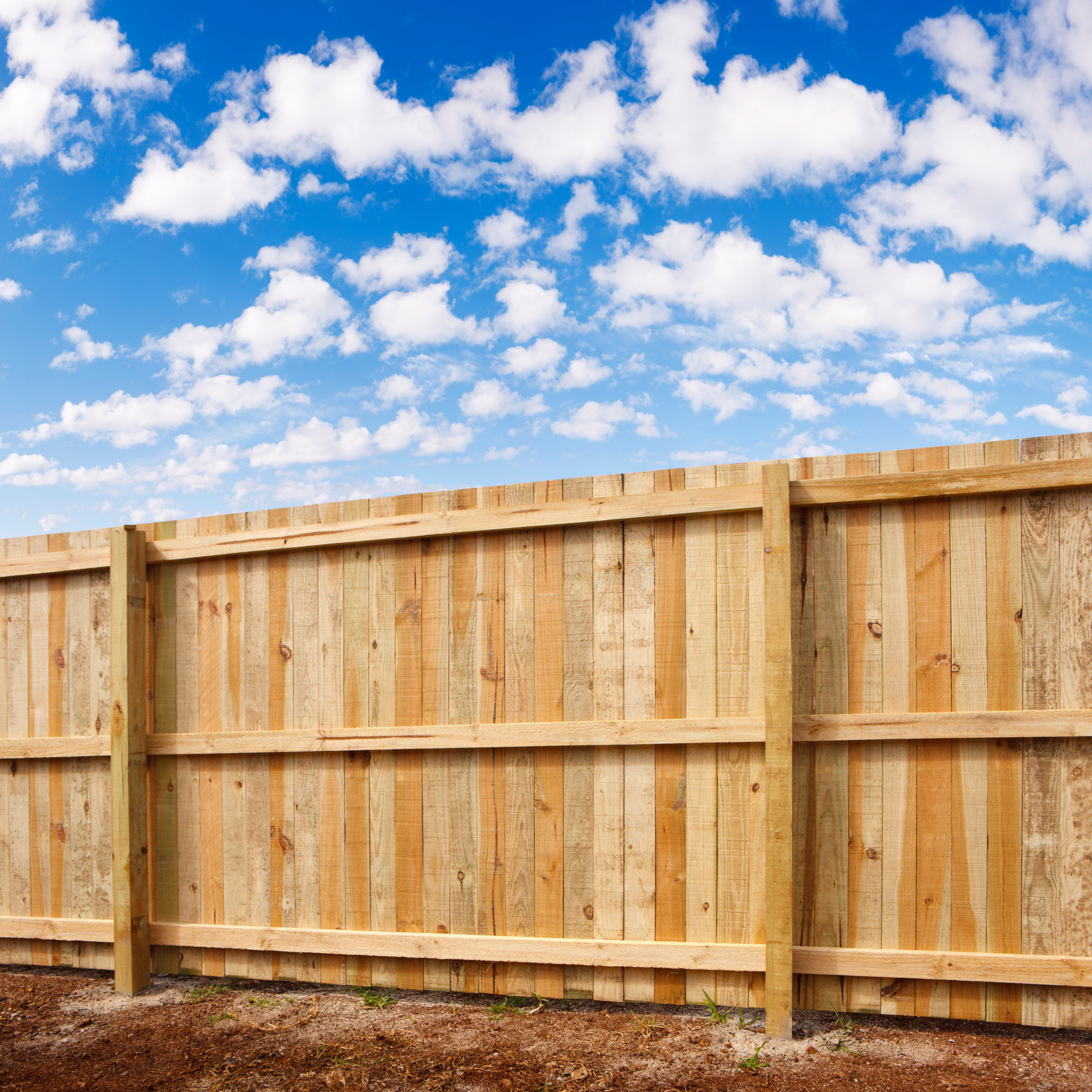 Timber Fence